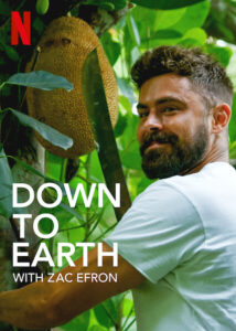 Down to earth zac efron errin serie blog
